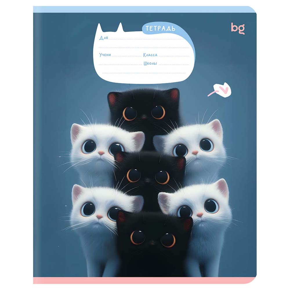 Тетрадь 18л. лин. "kitty eyes" (bg) б/б,лак,асс-т