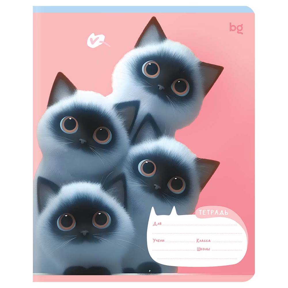 Тетрадь 18л. лин. "kitty eyes" (bg) б/б,лак,асс-т