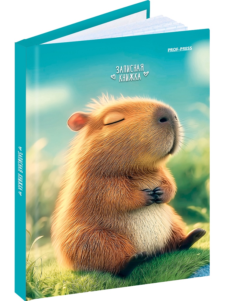Книжка записная а6 тв.обл. 64л. кл. "милая капибара-2" (проф-пресс) глянц.лам.