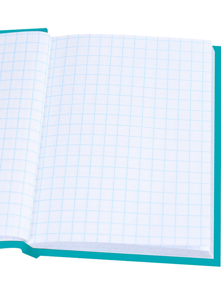 Книжка записная а6 тв.обл. 64л. кл. "милая капибара-2" (проф-пресс) глянц.лам.