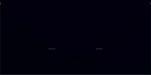 Конверт для денег "с днём рождения!" чёрно-белый цветок фольга