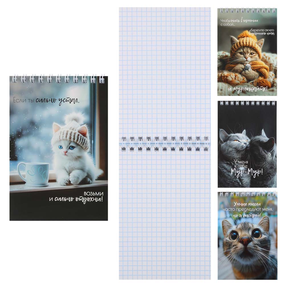 Блокнот а6 гребень 40л. кл. "кошачья жизнь" (кокос) асс-т