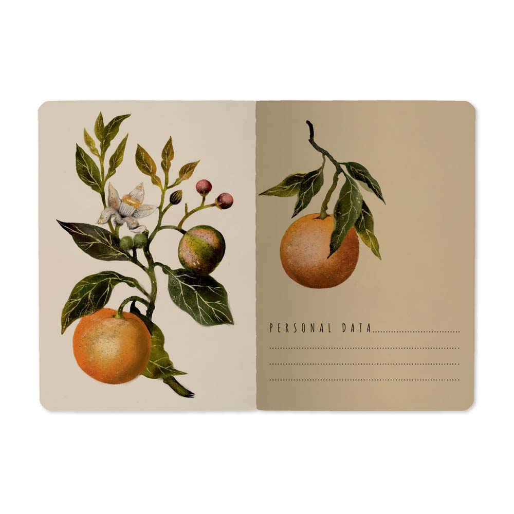 Блокнот а6 сшивка 32л. лин. "flora.paradise.oranges" (bruno visconti)