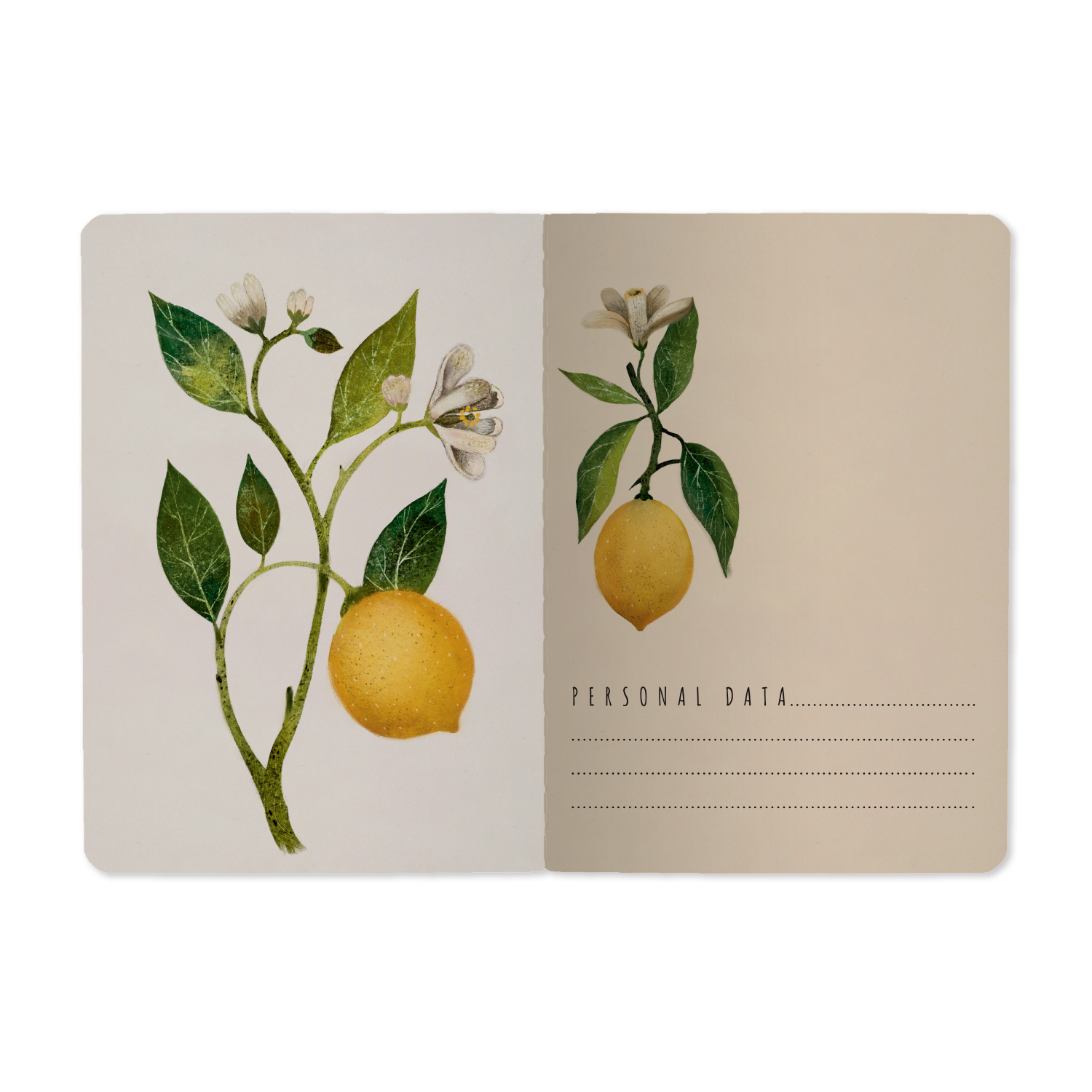 Блокнот а6 сшивка 32л. лин. "flora.paradise.lemons" (bruno visconti)