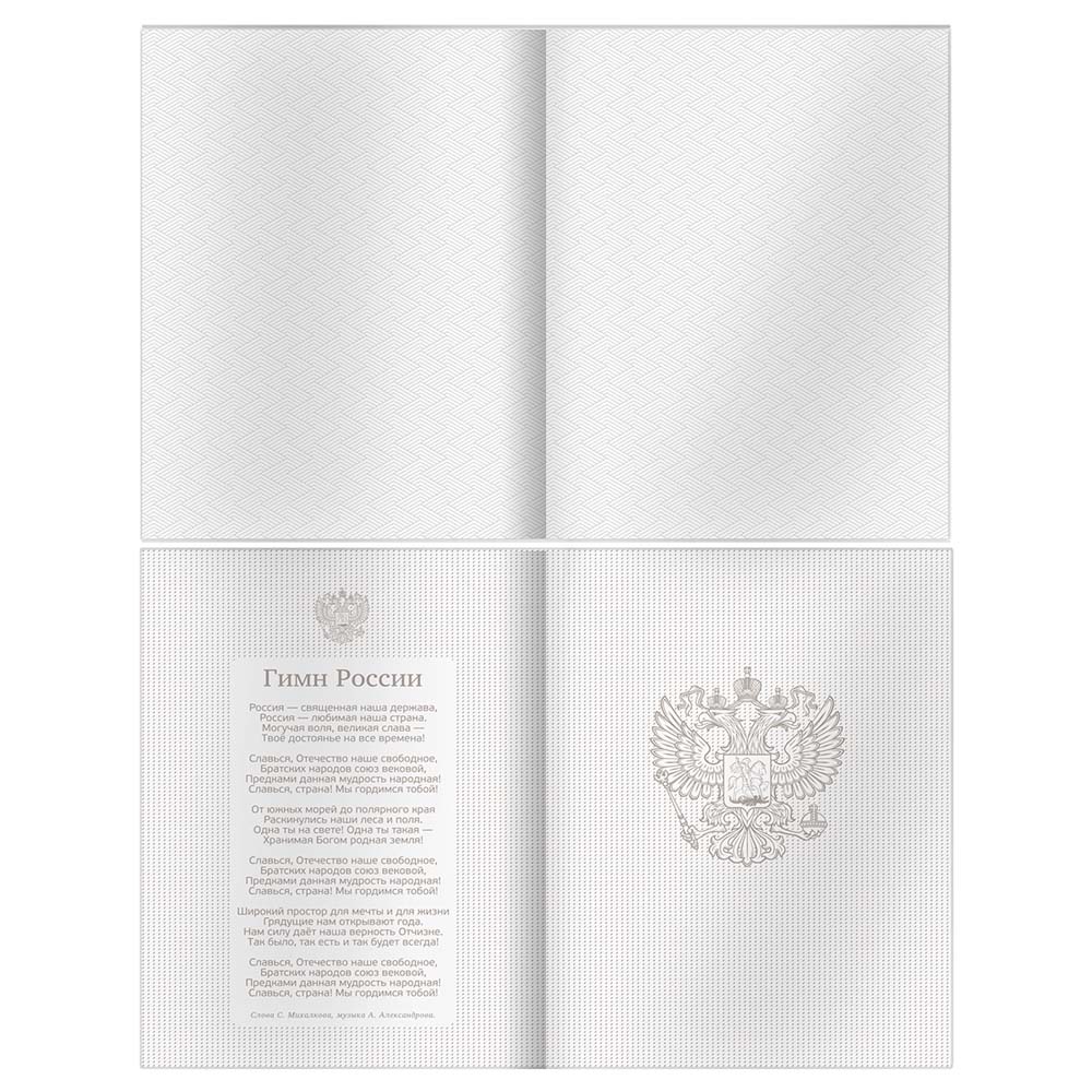 Дневник универс. тв.обл. "стальной движ" (bg) мат.лам.