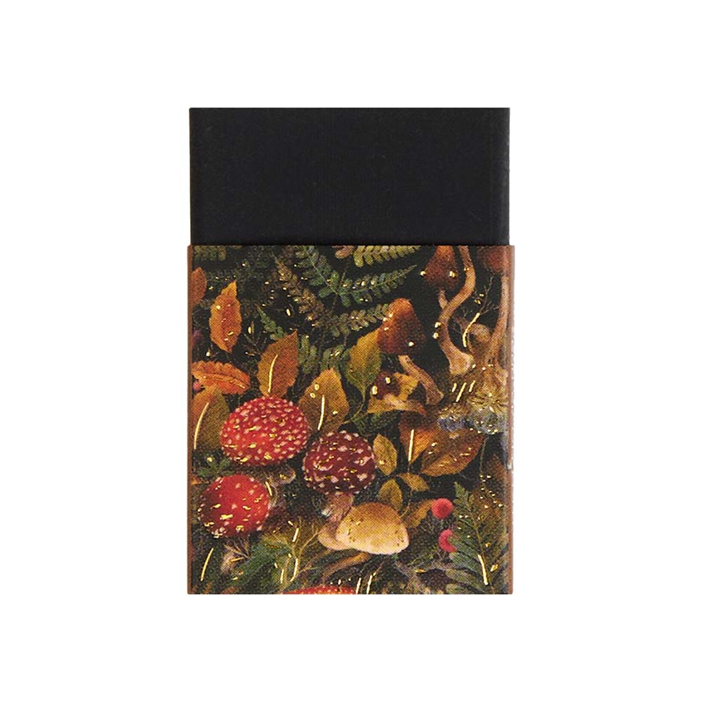 Ластик bruno visconti "flora. black night" чёрный асс-т