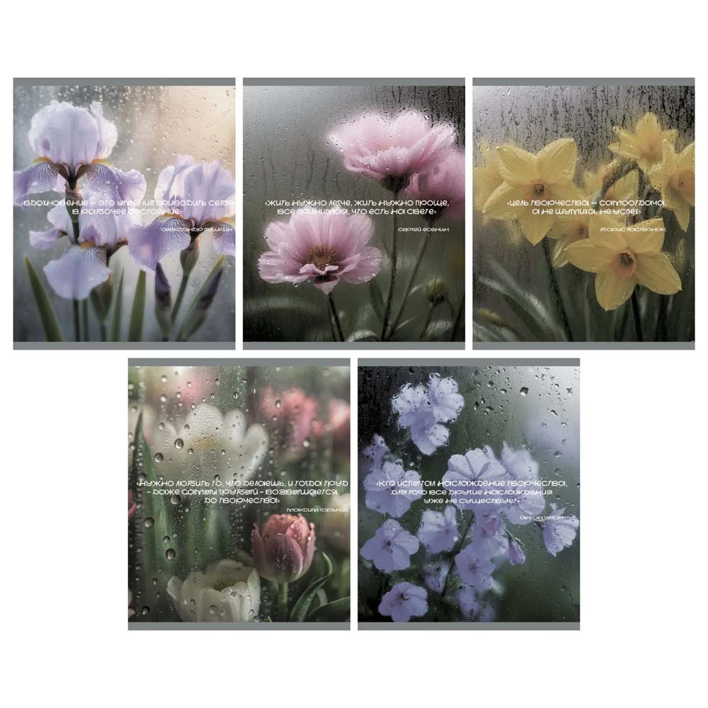 Тетрадь 48л. кл. "после дождя" (listoff) б/б,твин лак,асс-т