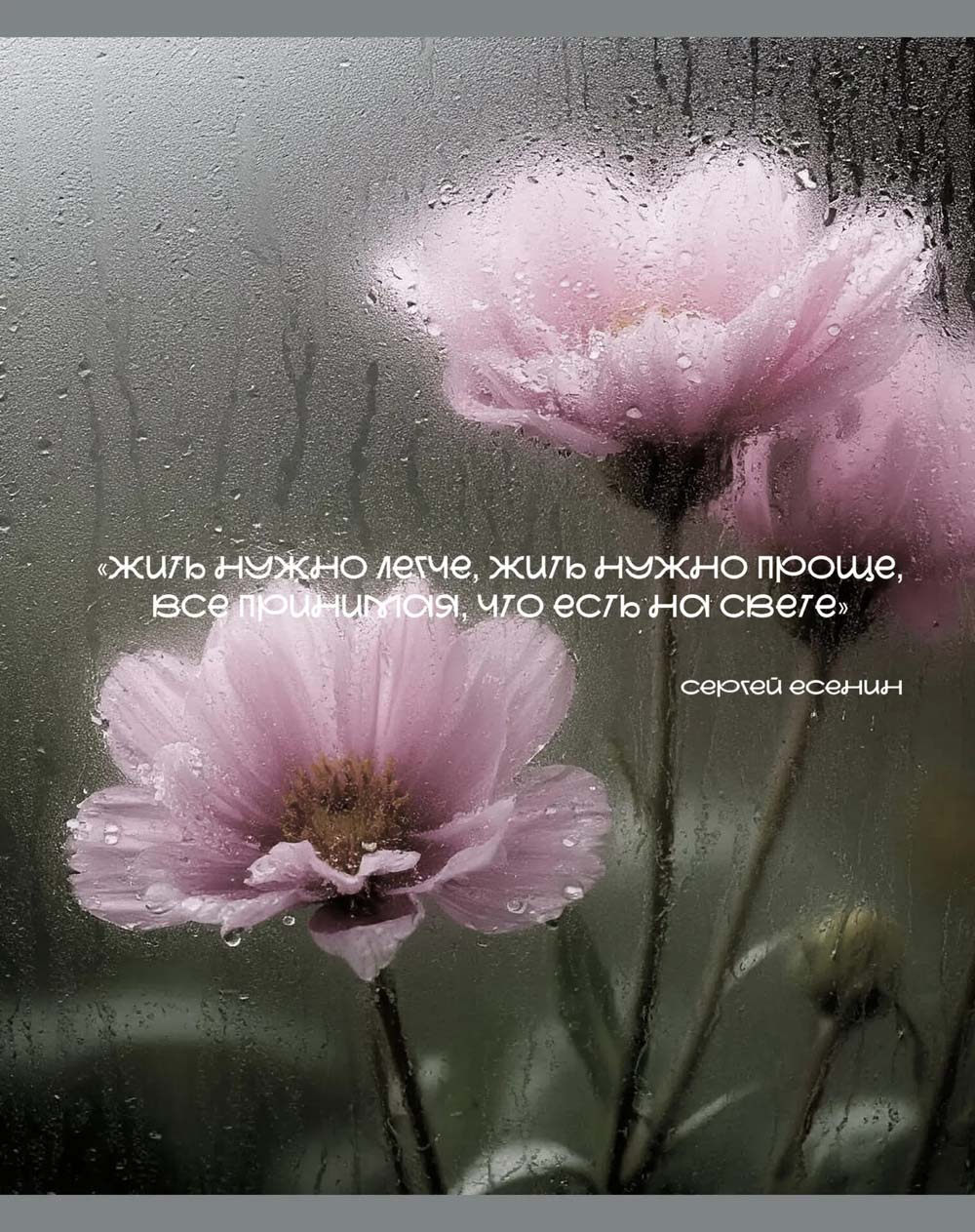 Тетрадь 48л. кл. "после дождя" (listoff) б/б,твин лак,асс-т