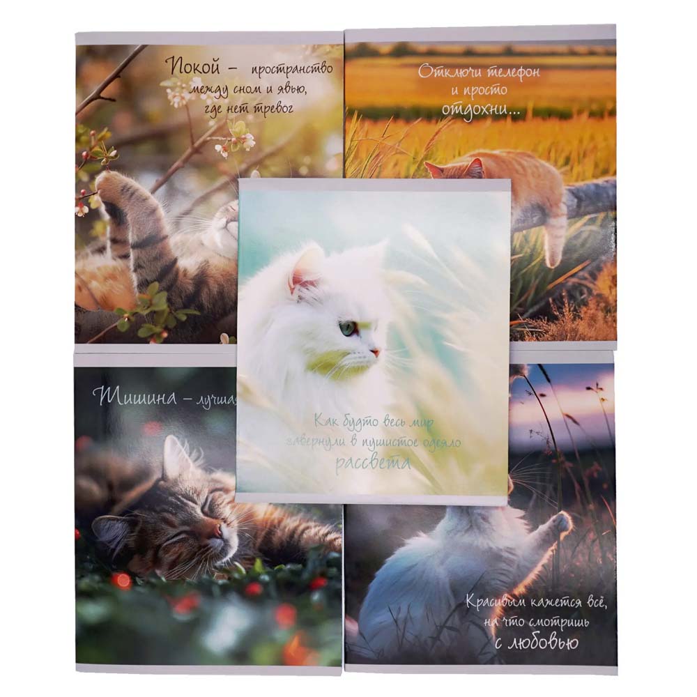 Тетрадь 48л. кл. "расслабься" (listoff) б/б,глянц.лам.,асс-т