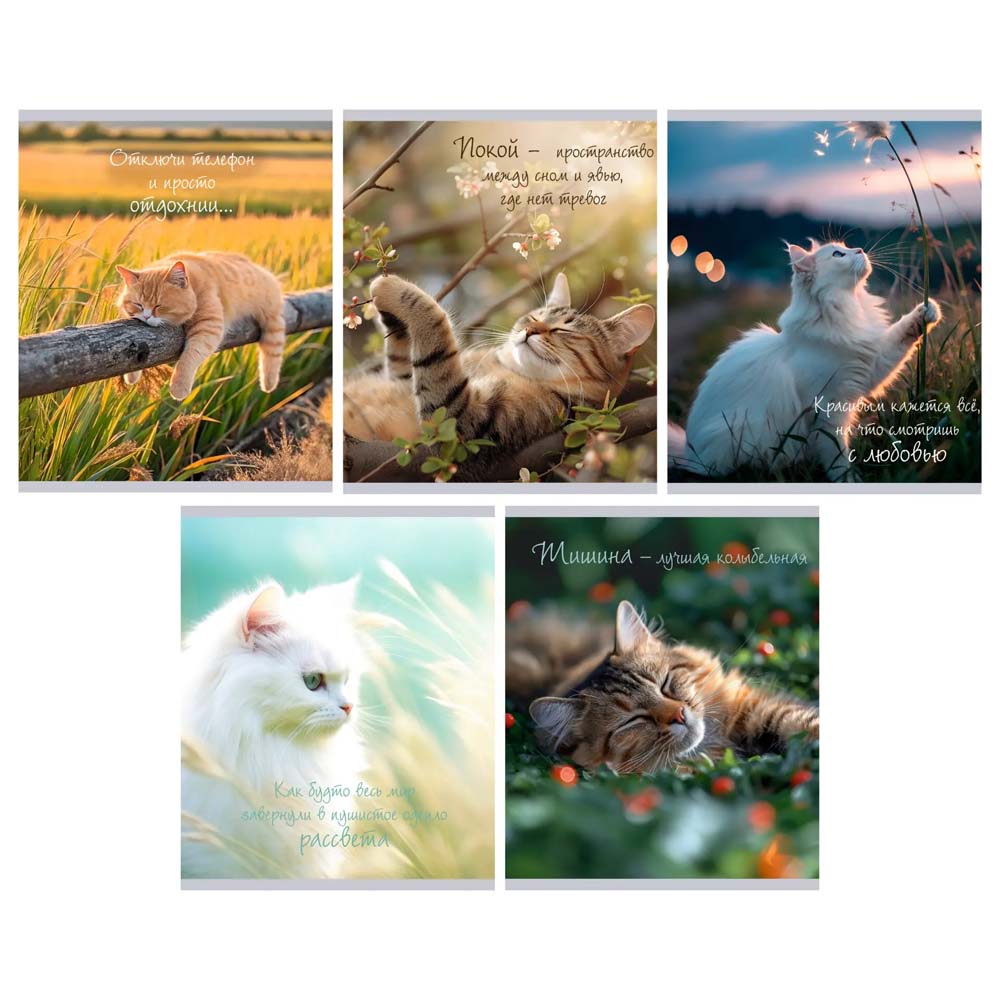 Тетрадь 48л. кл. "расслабься" (listoff) б/б,глянц.лам.,асс-т