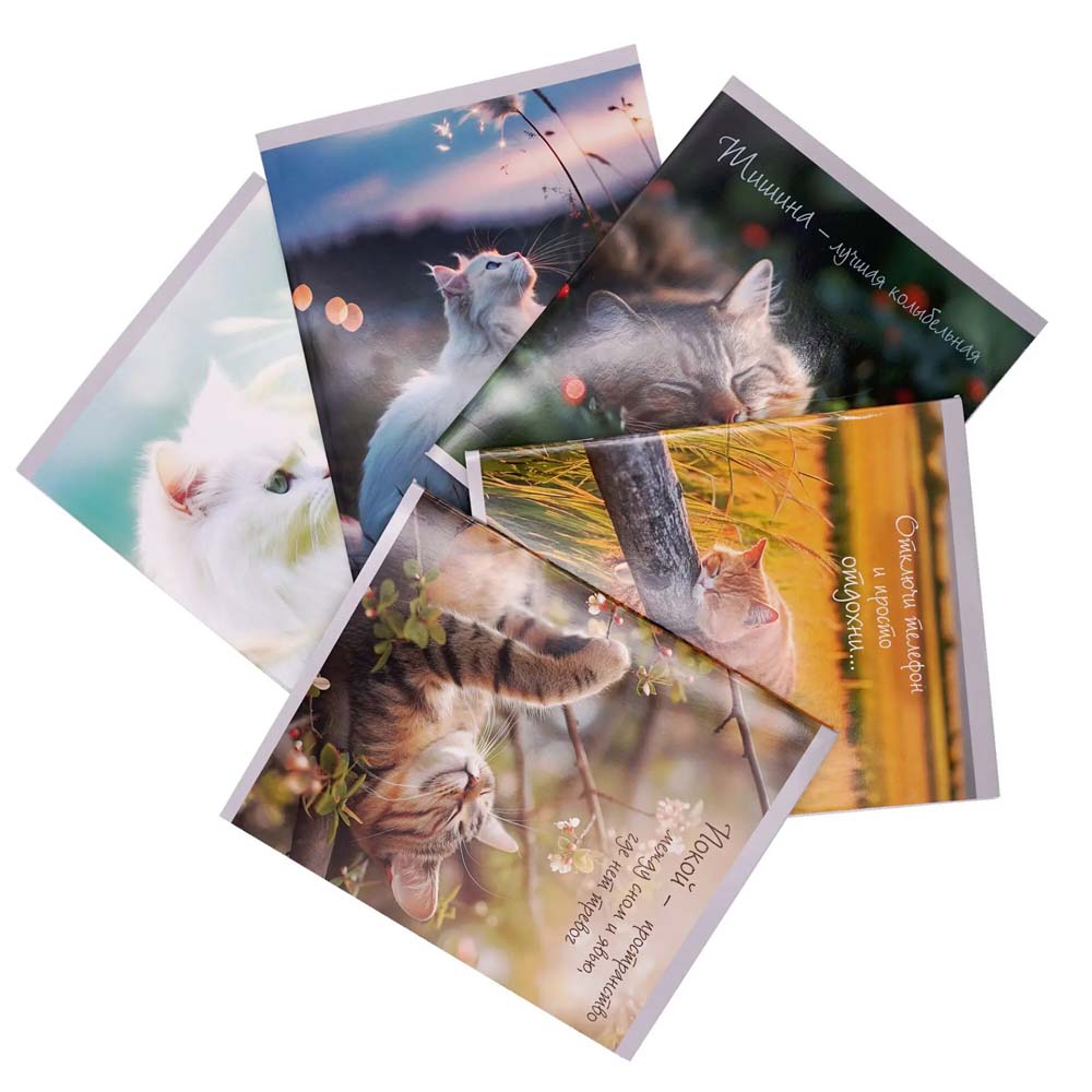 Тетрадь 48л. кл. "расслабься" (listoff) б/б,глянц.лам.,асс-т