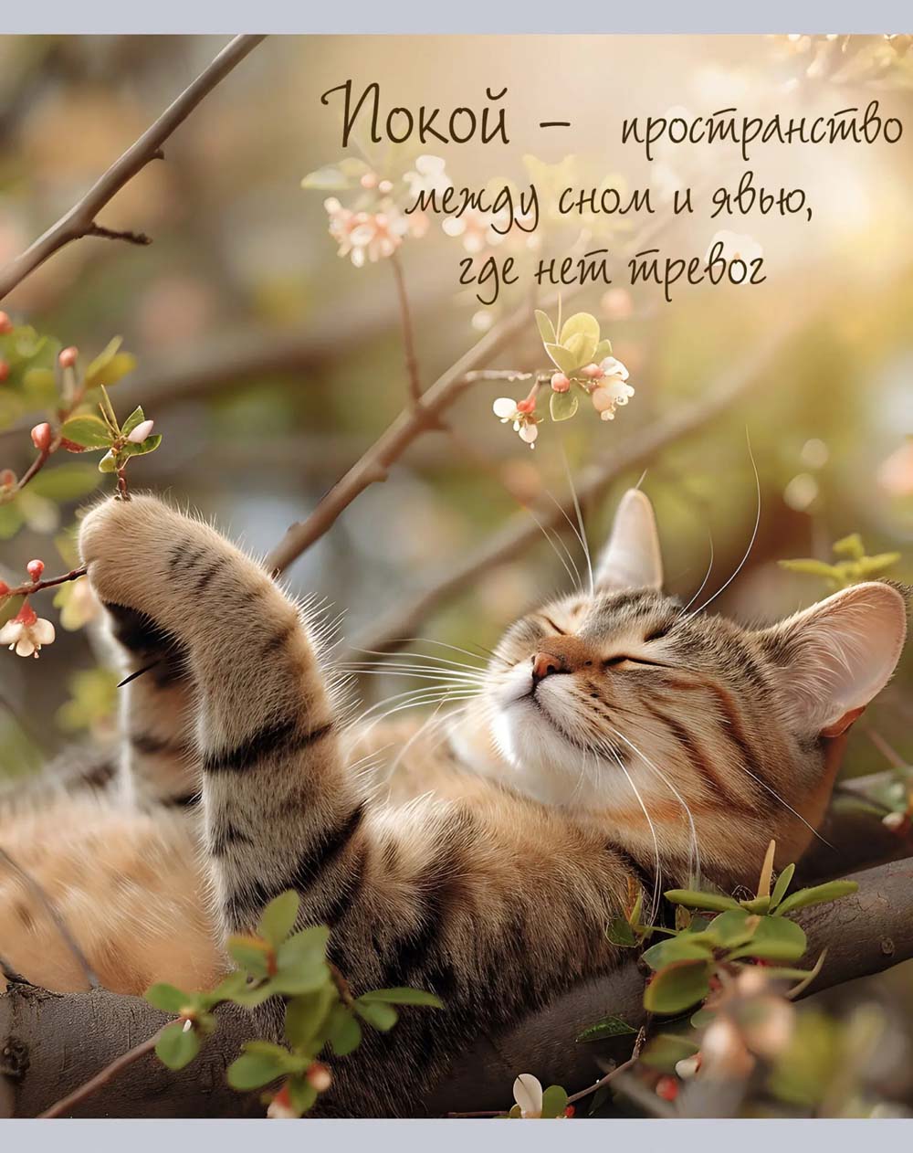 Тетрадь 48л. кл. "расслабься" (listoff) б/б,глянц.лам.,асс-т