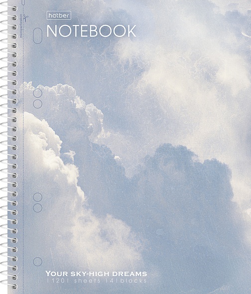 Тетрадь на спирали 120л. кл. "dream" (hatber) с разделителями 3 цв.,перфорац.