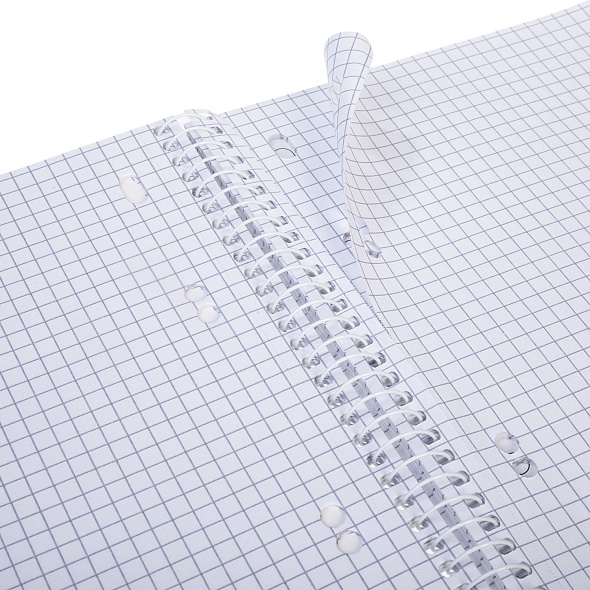 Тетрадь на спирали 120л. кл. "солнечные лимоны" (hatber) с разделителями 3 цв.,перфорац.