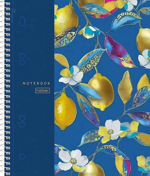 Тетрадь на спирали 120л. кл. "солнечные лимоны" (hatber) с разделителями 3 цв.,перфорац.