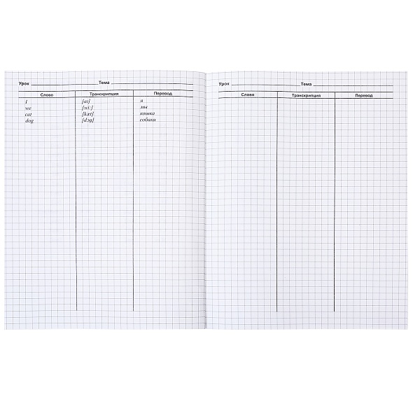 Тетрадь 48л. а5 д/записи иностр.сл. "big ben" (hatber)