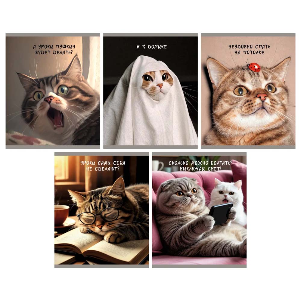 Тетрадь 48л. кл. "ох уж эти котики" (listoff) б/б,мат.лам.,выб.лак,асс-т