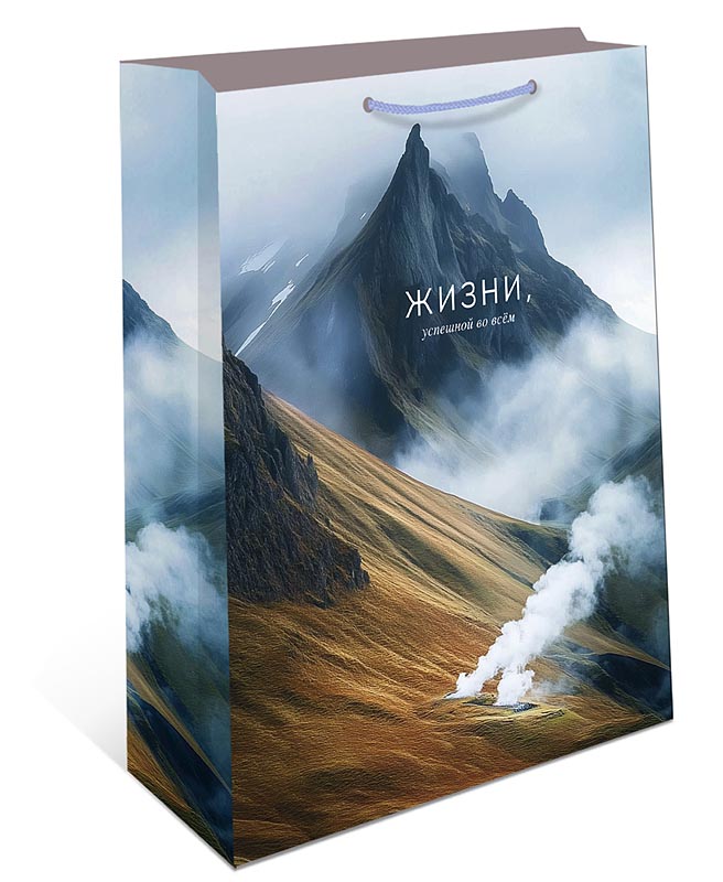 Пакет подарочный "жизни успешной во всём" (18х22х10см)