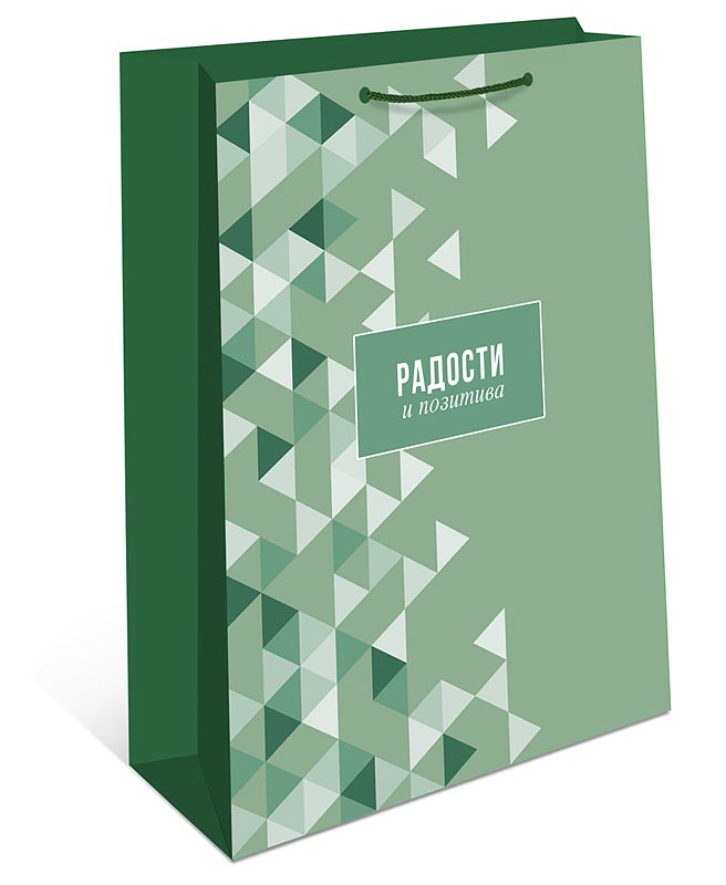 Пакет подарочный (26х32х12см)