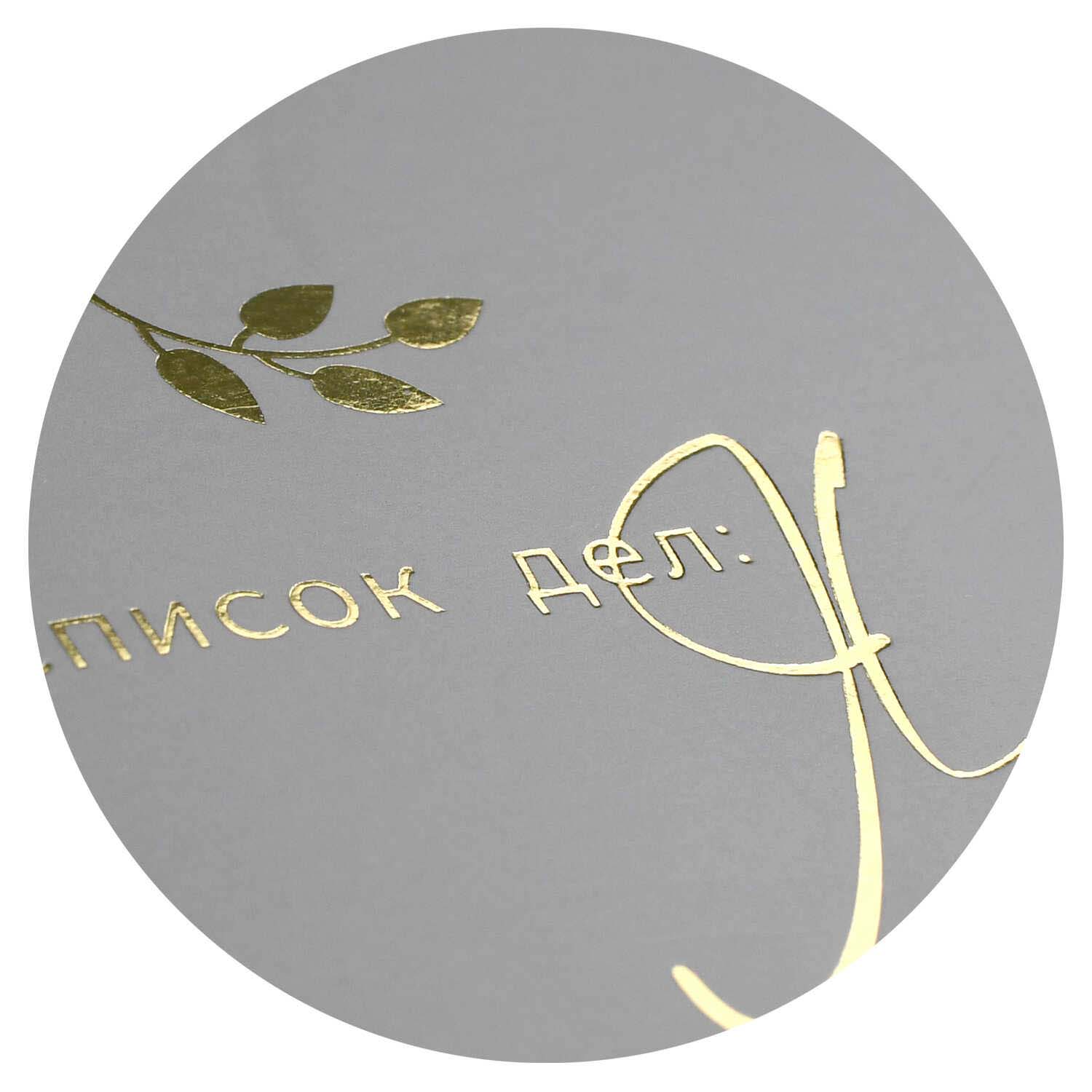 Блокнот а6+ скрепка 32л. "список дел: я" (феникс+)