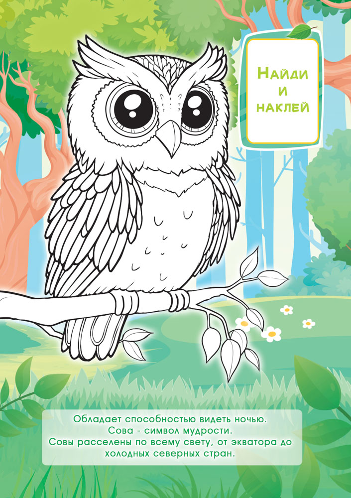 Раскраска "птицы" с наклейками а5