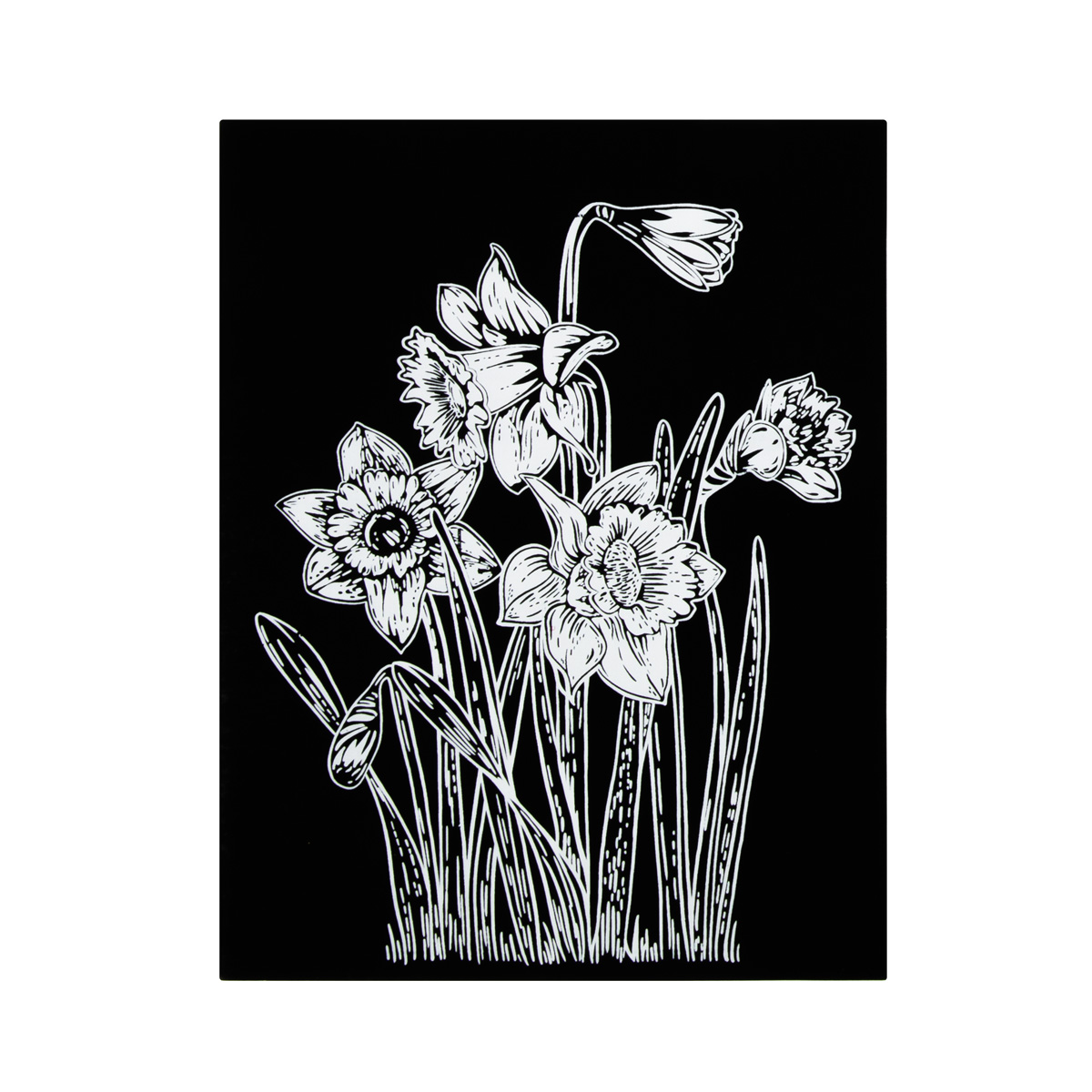 Набор д/творч. гравюра "нарциссы" 20х25,5см