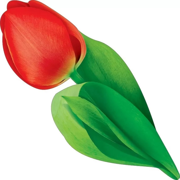 Украшение на скотче "тюльпан"