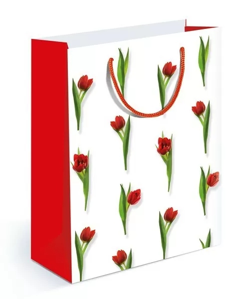 пакет подарочный "тюльпаны" (18х22см) Пакет подарочный "тюльпаны" (18х22см)