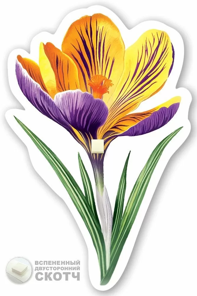 Украшение на скотче "крокус жёлто-синий"