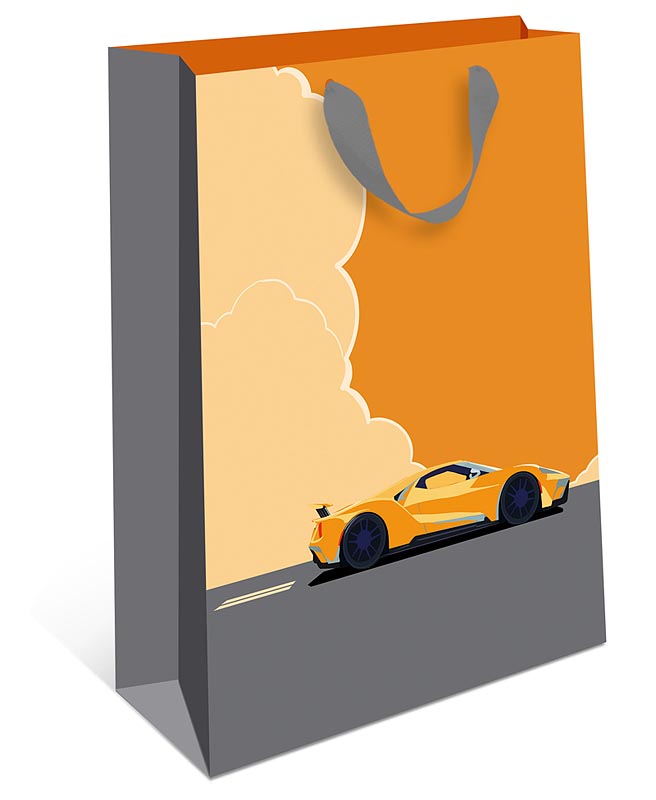 Пакет подарочный "авто" (18х23х10см)