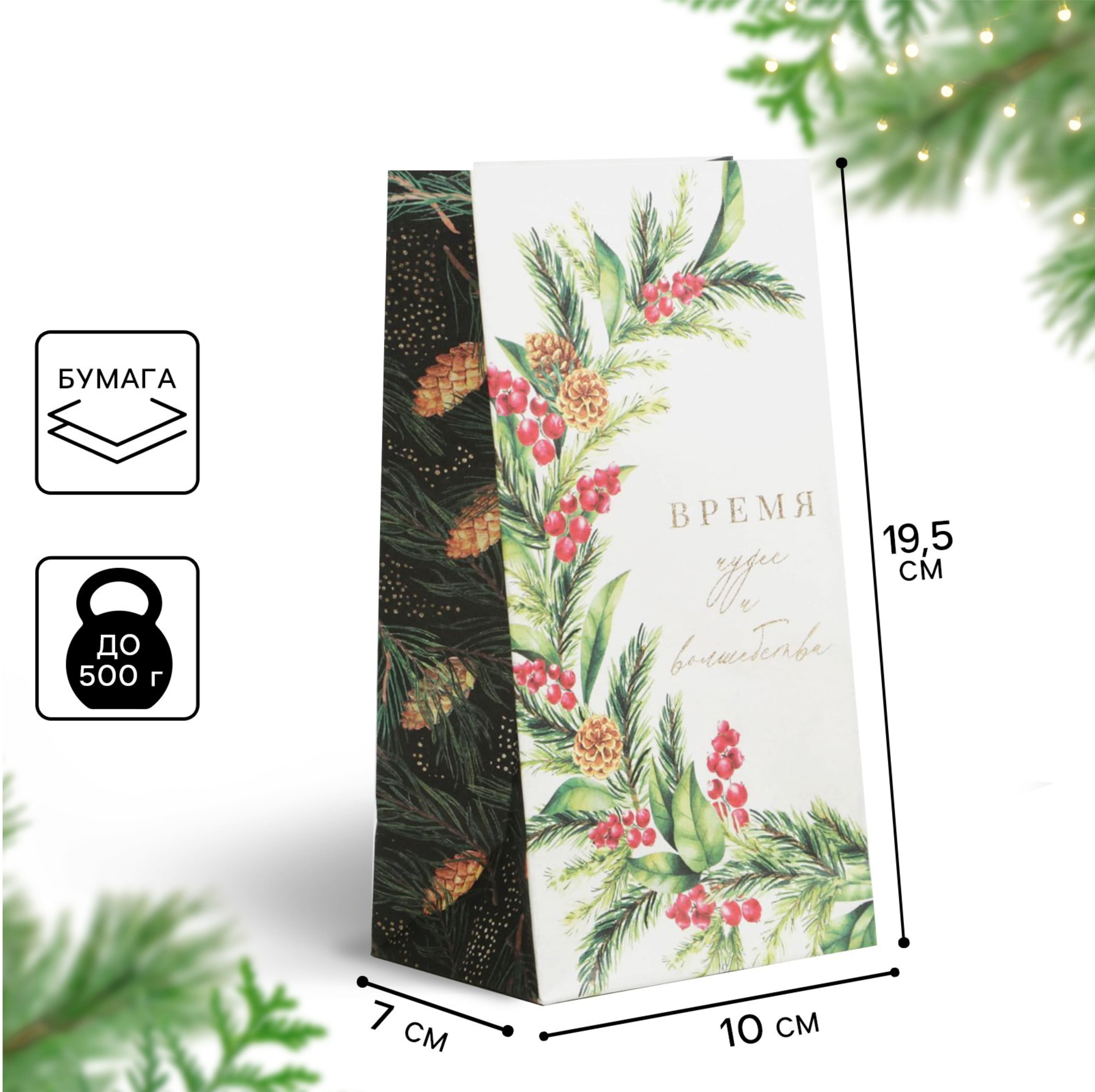 Пакет подарочный 10х19,5х7см "время волшебства"