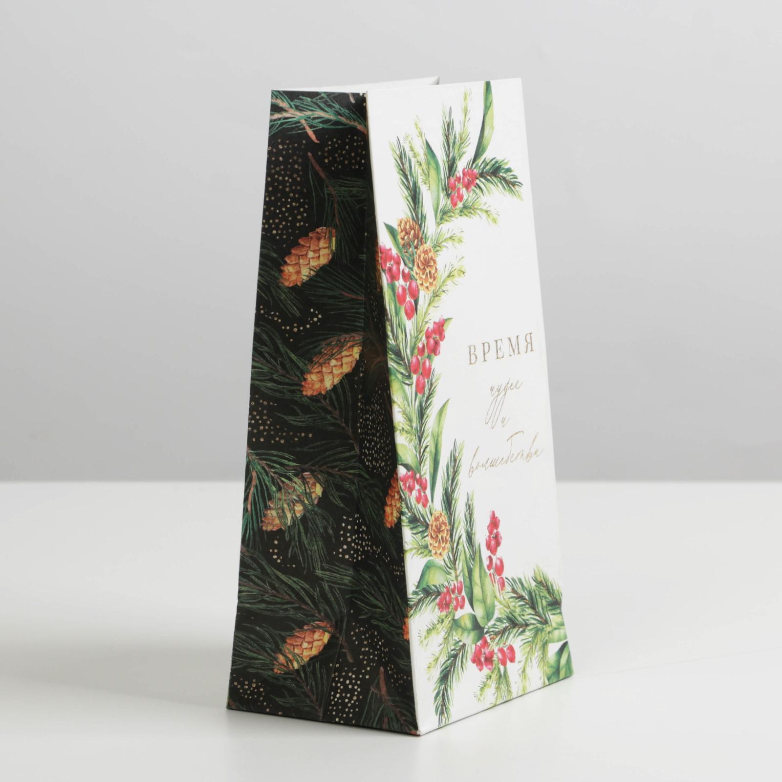 Пакет подарочный 10х19,5х7см "время волшебства"