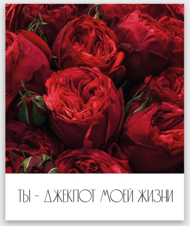 Открытка мини 9х11см "ты - джекпот моей жизни"