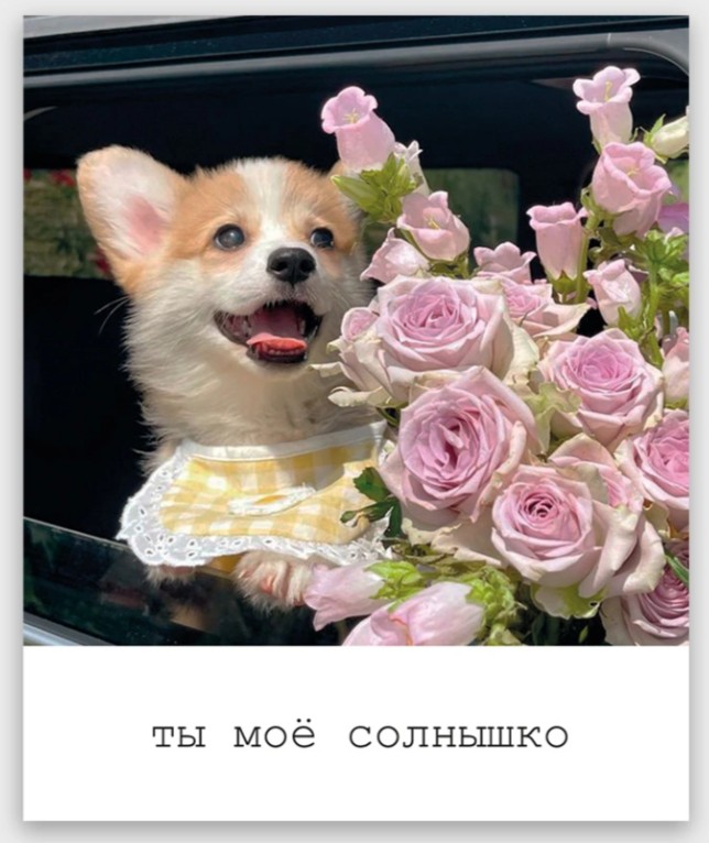 Открытка мини 9х11см "ты моё солнышко"