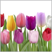 Салфетки бум. 330х330мм 20 шт. 3-сл. "море тюльпанов"