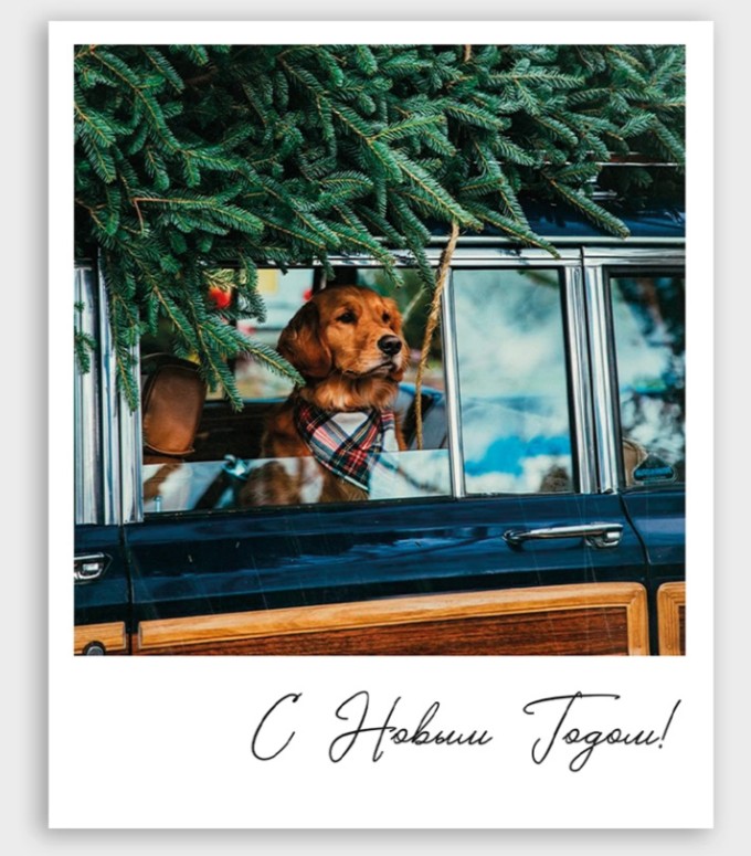 Открытка мини "с новым годом!" собака в машине 8х10см