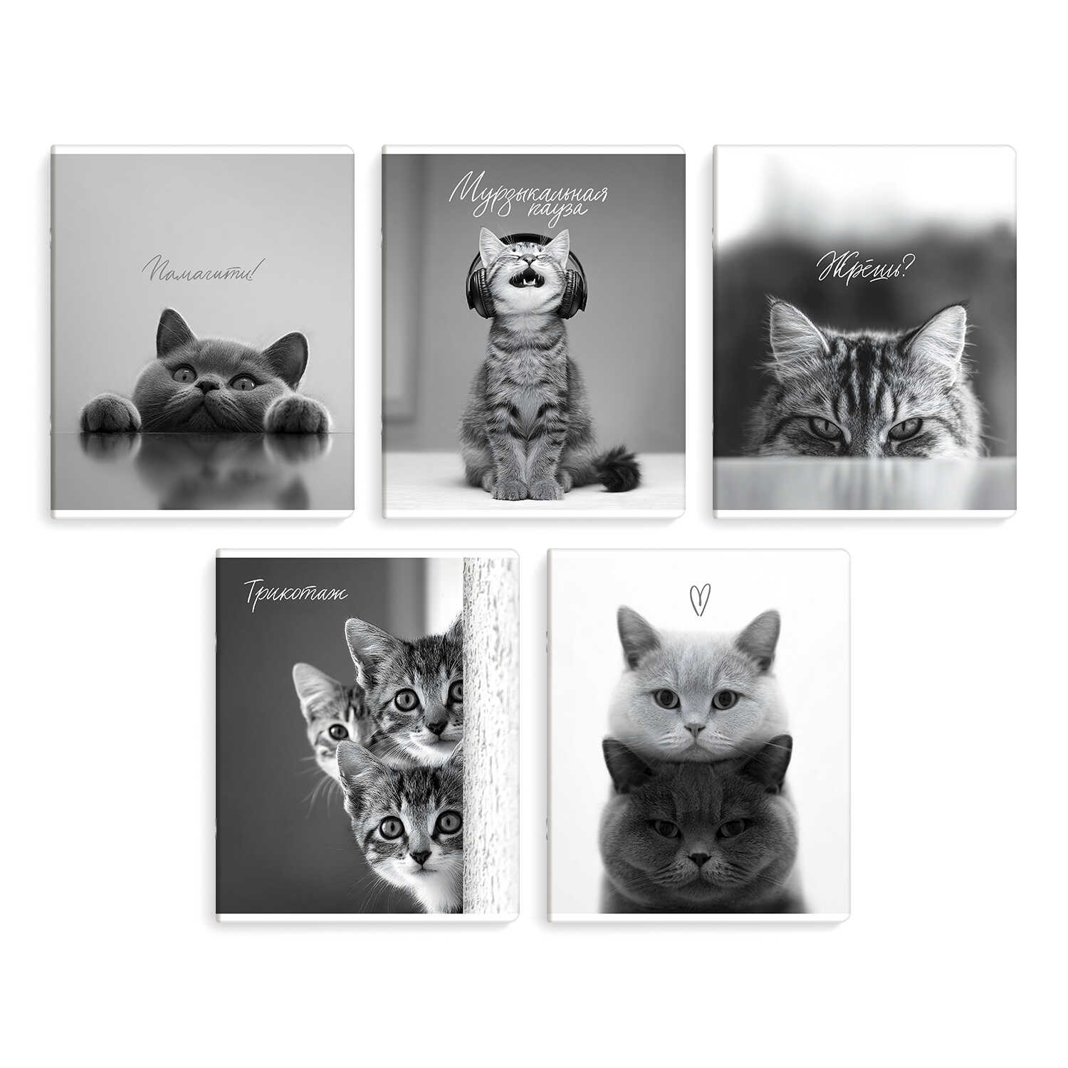 Тетрадь 48л. кл. "монохромные коты" (феникс+) б/б,твин лак,асс-т