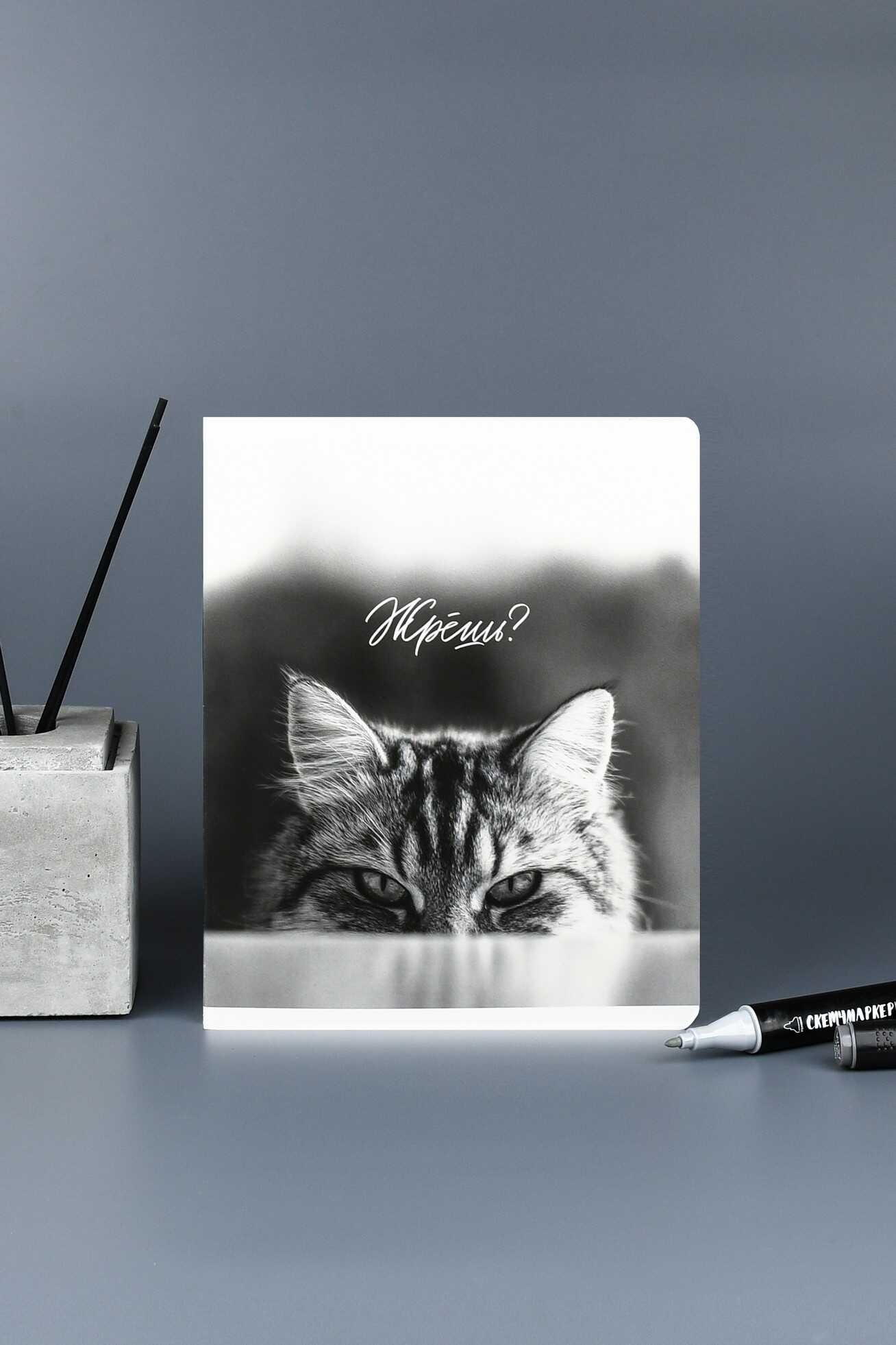 Тетрадь 48л. кл. "монохромные коты" (феникс+) б/б,твин лак,асс-т