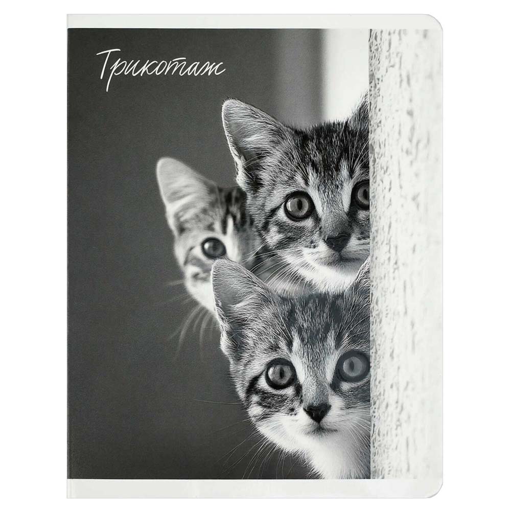 Тетрадь 48л. кл. "монохромные коты" (феникс+) б/б,твин лак,асс-т
