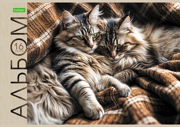 Альбом д/рис. а4 16л.скрепка "маленькие мурлыки" (hatber) оф/о,асс-т