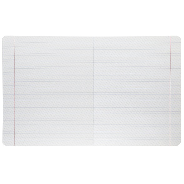 Тетрадь 12л. частая кос.лин. "newtone" зелёный нефрит (hatber) б/б