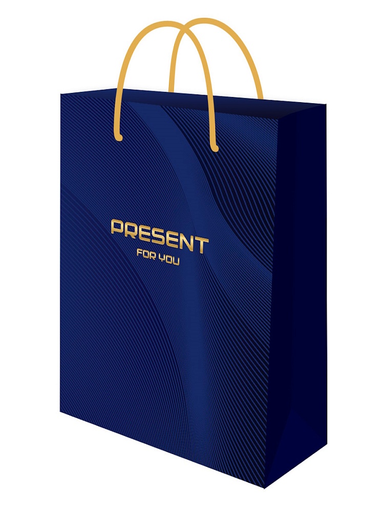 Пакет подарочный "present" (22х31х10см)