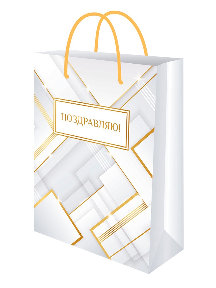 Пакет подарочный "графика" (22х31х10см)