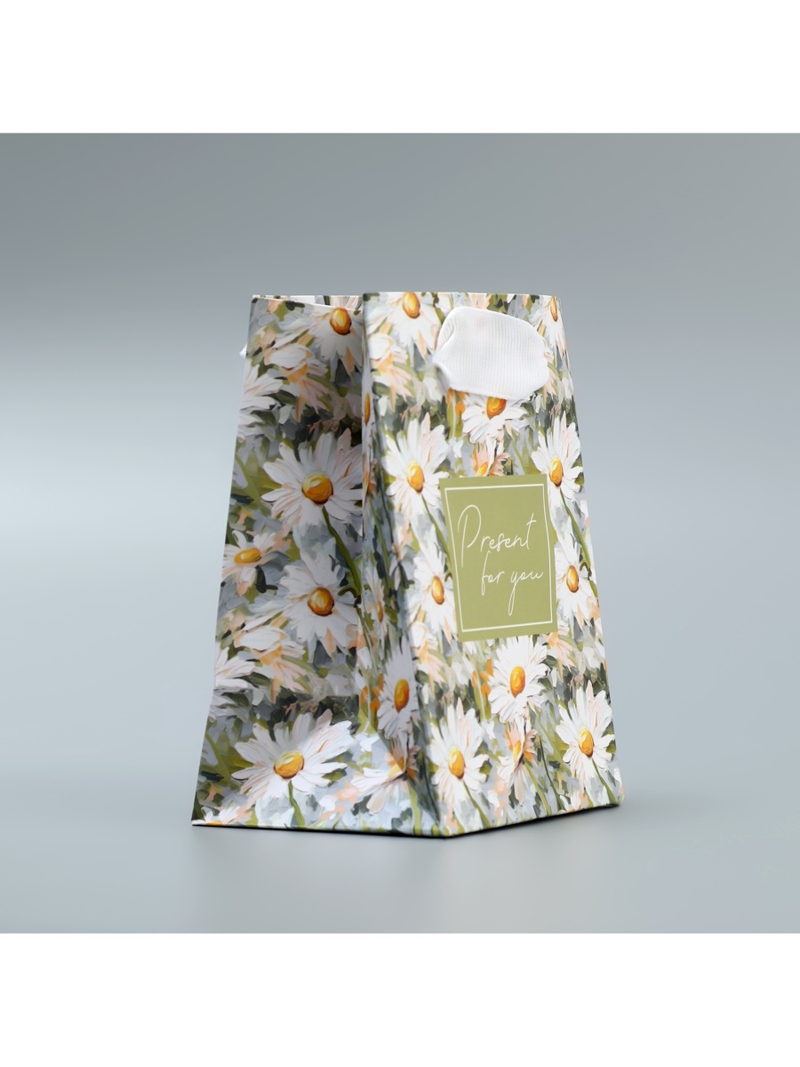 Пакет подарочный "present" (9х12х6,5см)
