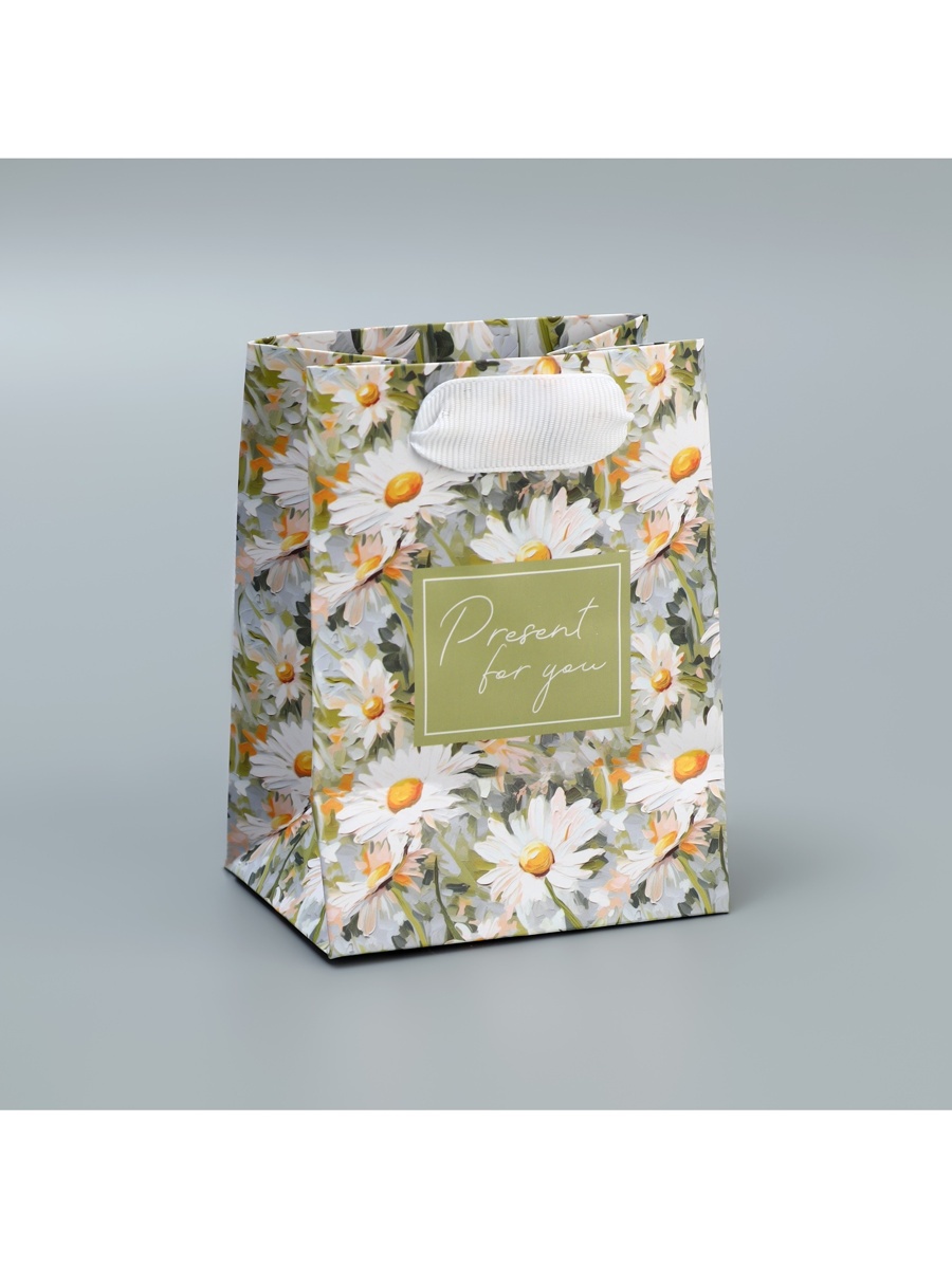 Пакет подарочный "present" (9х12х6,5см)