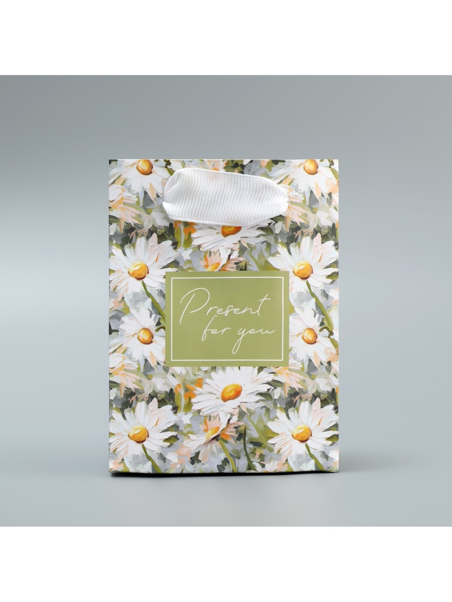 Пакет подарочный "present" (9х12х6,5см)