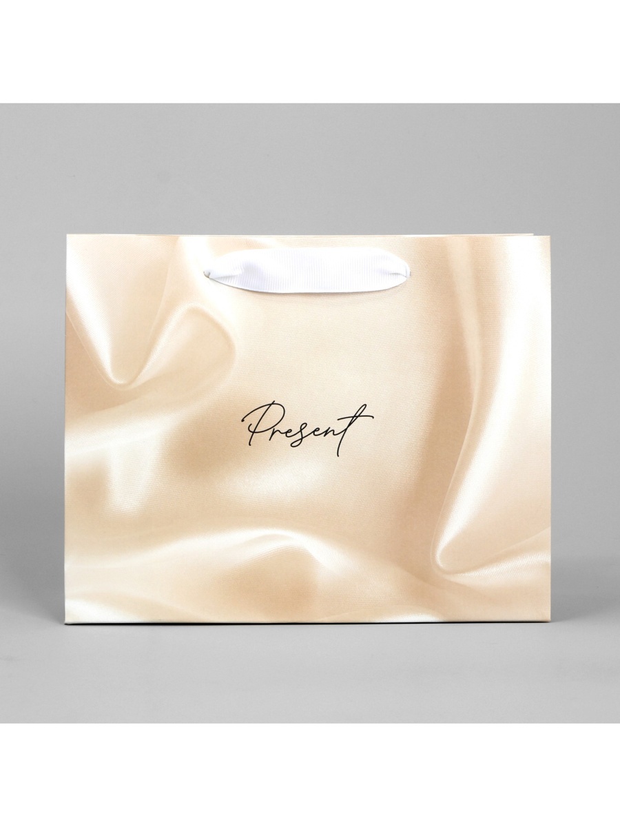 Пакет подарочный "present" (22х17,5х8см)