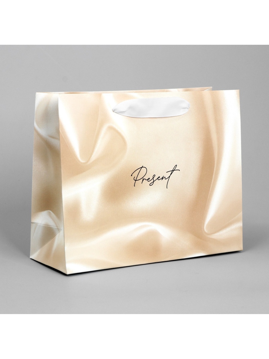 Пакет подарочный "present" (22х17,5х8см)