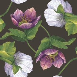 салфетки бум. 330х330мм 20 шт. 3-сл. "декоративный цветок на чёрном" Салфетки бум. 330х330мм 20 шт. 3-сл. "декоративный цветок на чёрном"