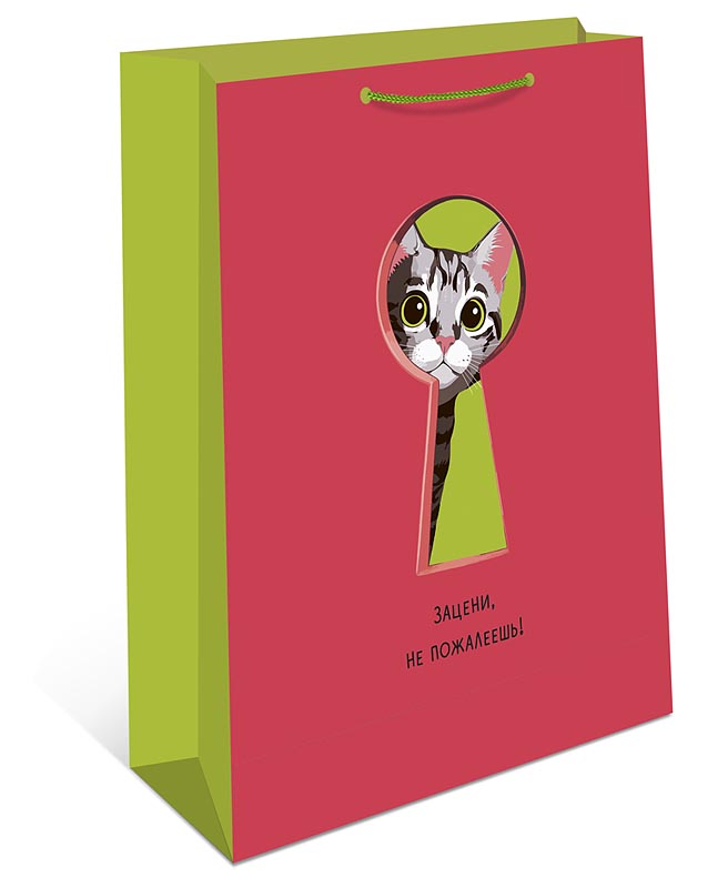 пакет подарочный "зацени, не пожалеешь!" (33х42,5х10см) Пакет подарочный "зацени, не пожалеешь!" (33х42,5х10см)